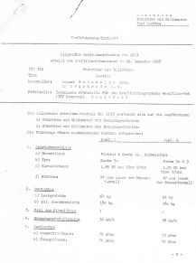 Rabeneick LASTBOY ABE 2163